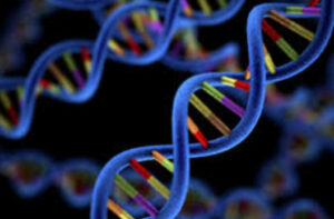 Laser and Viral DNA